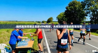 如何高效搭建企业级VPN网络，从规划到部署的完整指南