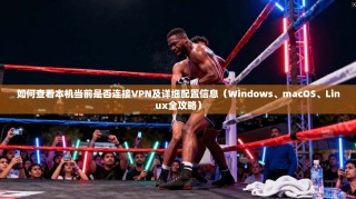 如何查看本机当前是否连接VPN及详细配置信息（Windows、macOS、Linux全攻略）
