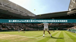 深入解析Charles代理工具与VPN连接的协同机制及安全风险防范