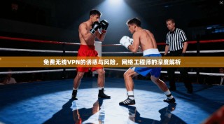 免费无线VPN的诱惑与风险，网络工程师的深度解析