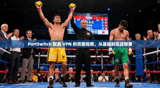 PortSwitch 配置 VPN 的完整指南，从基础到实战部署