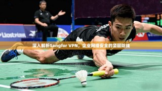深入解析Sangfor VPN，企业网络安全的坚固防线