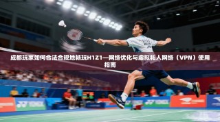 成都玩家如何合法合规地畅玩H1Z1—网络优化与虚拟私人网络（VPN）使用指南