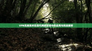 VPN无线技术在现代网络环境中的应用与挑战解析