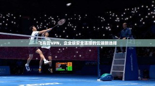 飞鸟云VPN，企业级安全连接的云端新选择