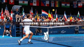 SSL VPN技术详解，企业安全远程访问的基石