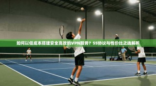 如何以低成本搭建安全高效的VPN服务？SS协议与性价比之选解析