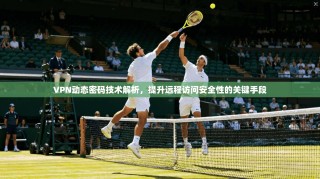 VPN动态密码技术解析，提升远程访问安全性的关键手段