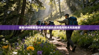 使用VPN观看境外视频内容的合规性与技术风险解析