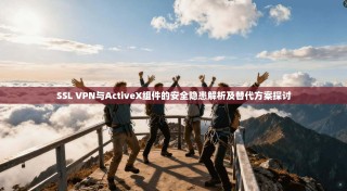 SSL VPN与ActiveX组件的安全隐患解析及替代方案探讨