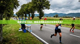 海豚VPN 1460，网络访问新选择还是潜在风险？
