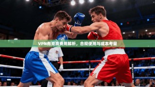 VPN有资质费用解析，合规使用与成本考量