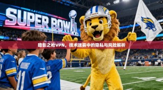 暗影之枪VPN，技术迷雾中的隐私与风险解析