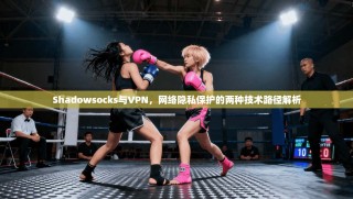 Shadowsocks与VPN，网络隐私保护的两种技术路径解析