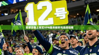 安卓设备上常见VPN服务解析与选择指南