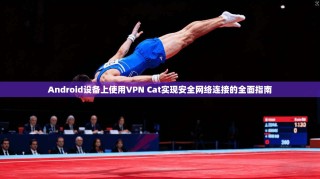 Android设备上使用VPN Cat实现安全网络连接的全面指南