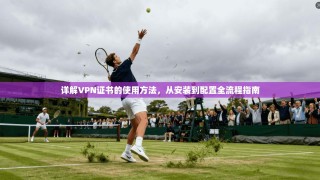 详解VPN证书的使用方法，从安装到配置全流程指南