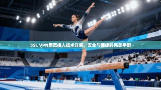 SSL VPN网页接入技术详解，安全与便捷的完美平衡
