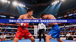 警惕Hit My Ass类伪装VPN服务，网络安全风险警示与防范指南