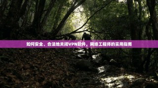 如何安全、合法地关闭VPN软件，网络工程师的实用指南