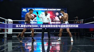 深入解析VPN1000，企业级网络加密与远程访问的利器