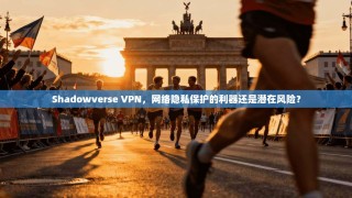 Shadowverse VPN，网络隐私保护的利器还是潜在风险？