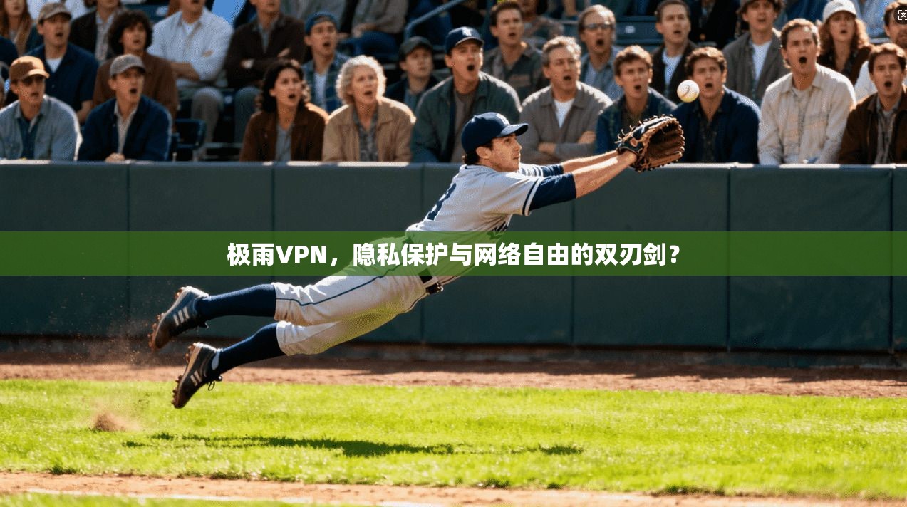 极雨VPN，隐私保护与网络自由的双刃剑？