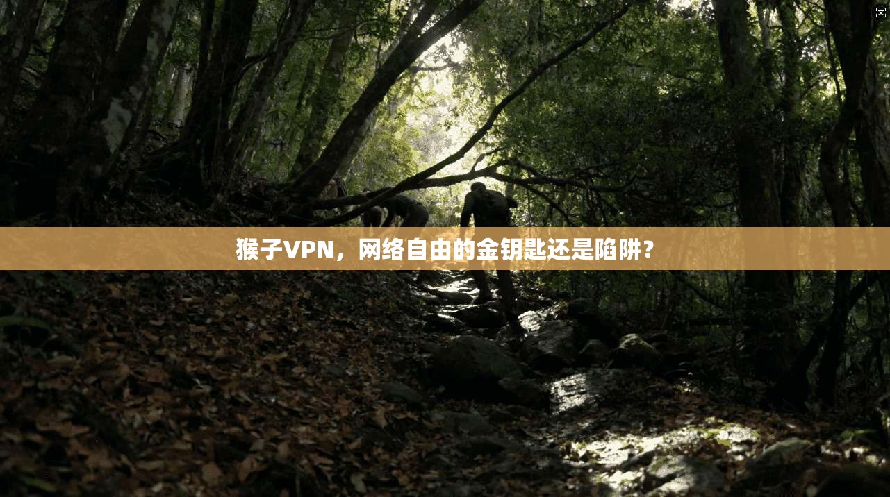 猴子VPN，网络自由的金钥匙还是陷阱？