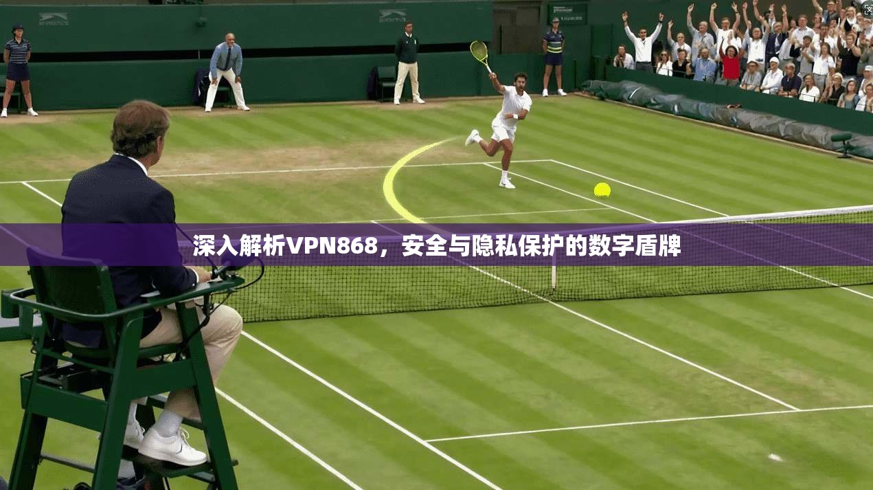 深入解析VPN868，安全与隐私保护的数字盾牌