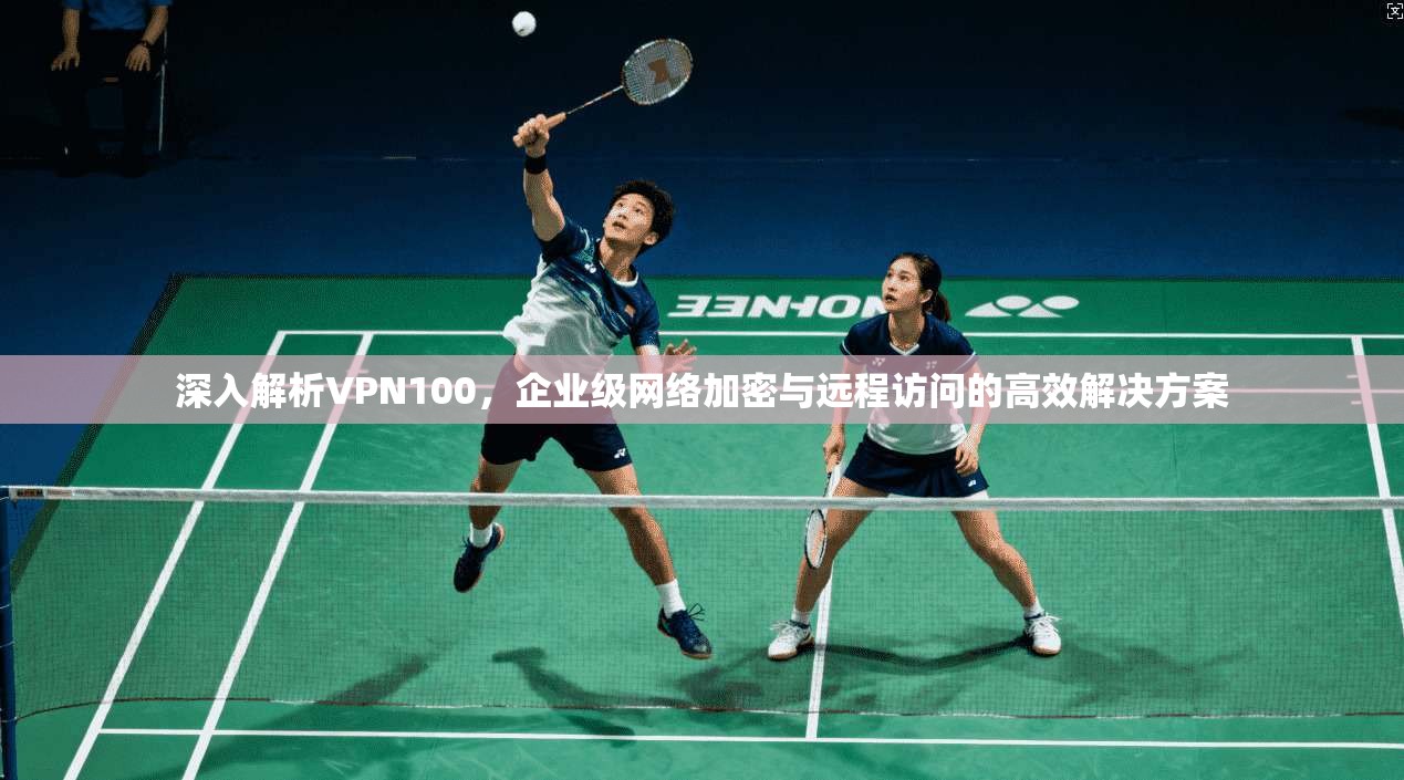 深入解析VPN100，企业级网络加密与远程访问的高效解决方案