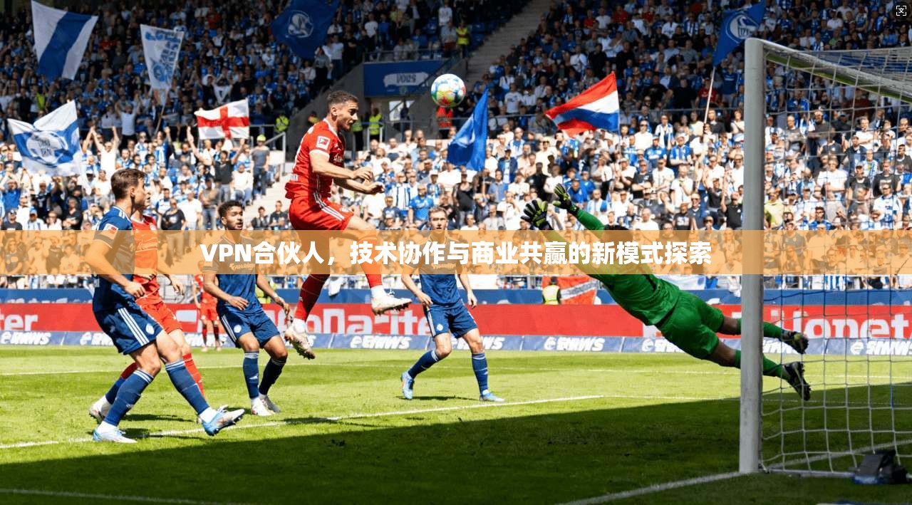 VPN合伙人，技术协作与商业共赢的新模式探索