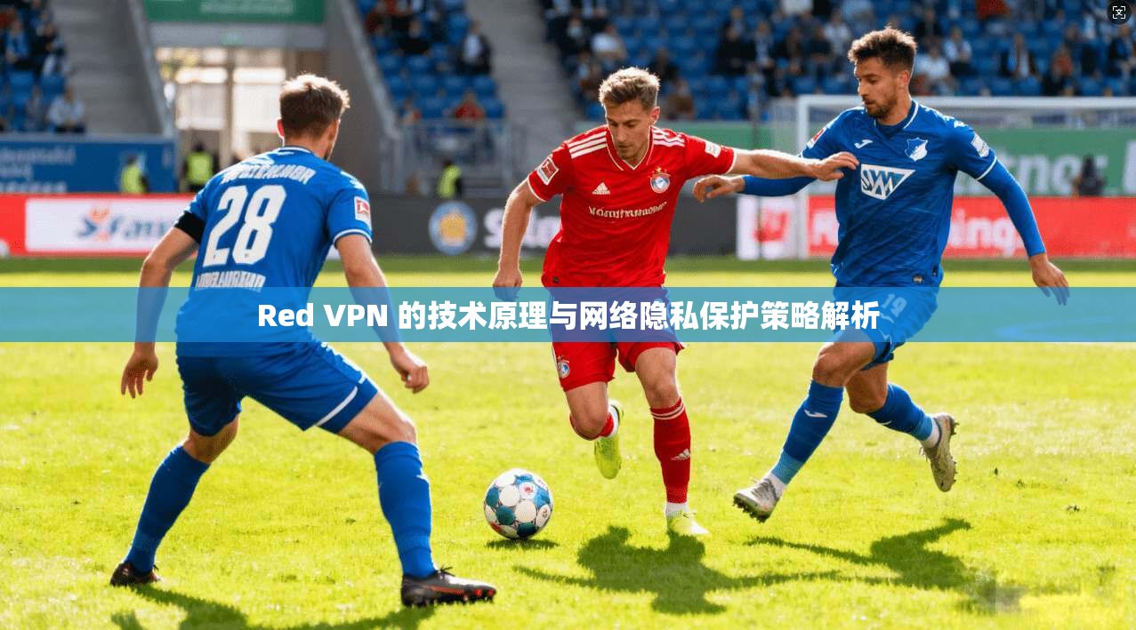 Red VPN 的技术原理与网络隐私保护策略解析