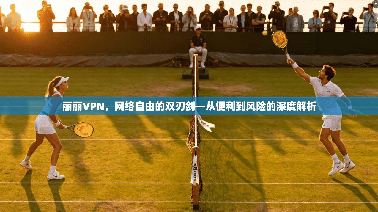 丽丽VPN，网络自由的双刃剑—从便利到风险的深度解析  第1张