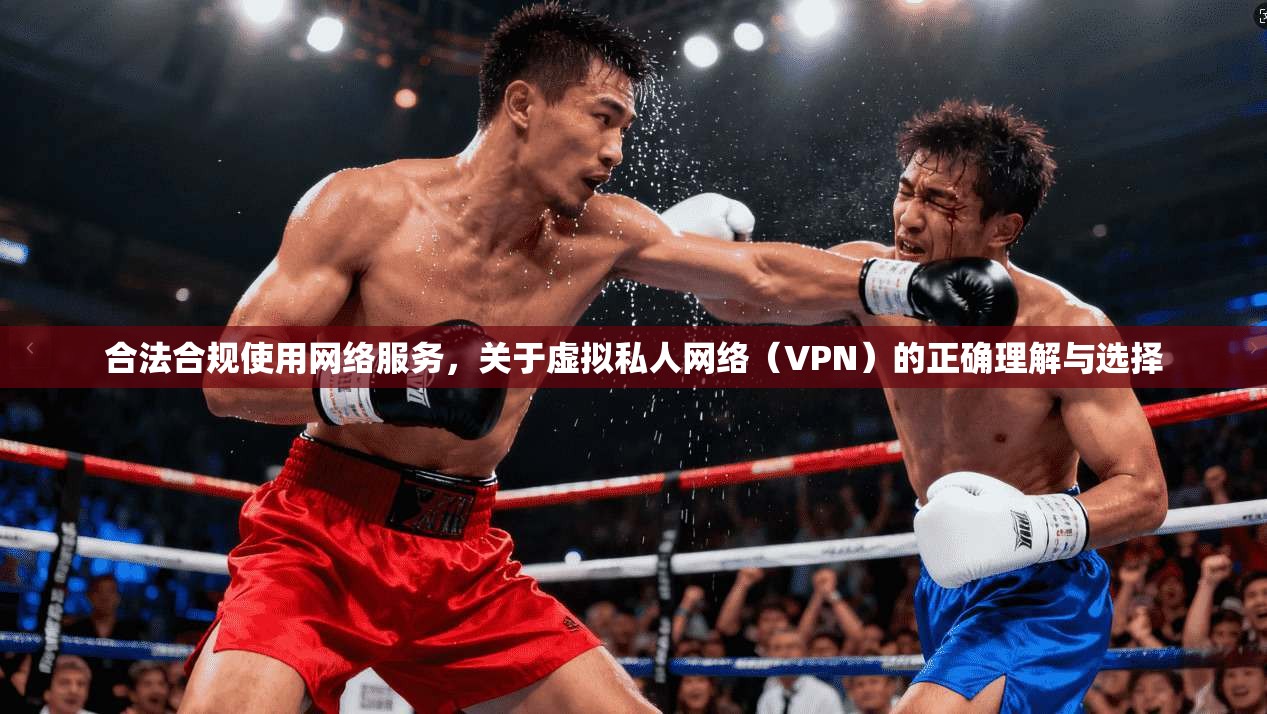 合法合规使用网络服务，关于虚拟私人网络（VPN）的正确理解与选择  第1张