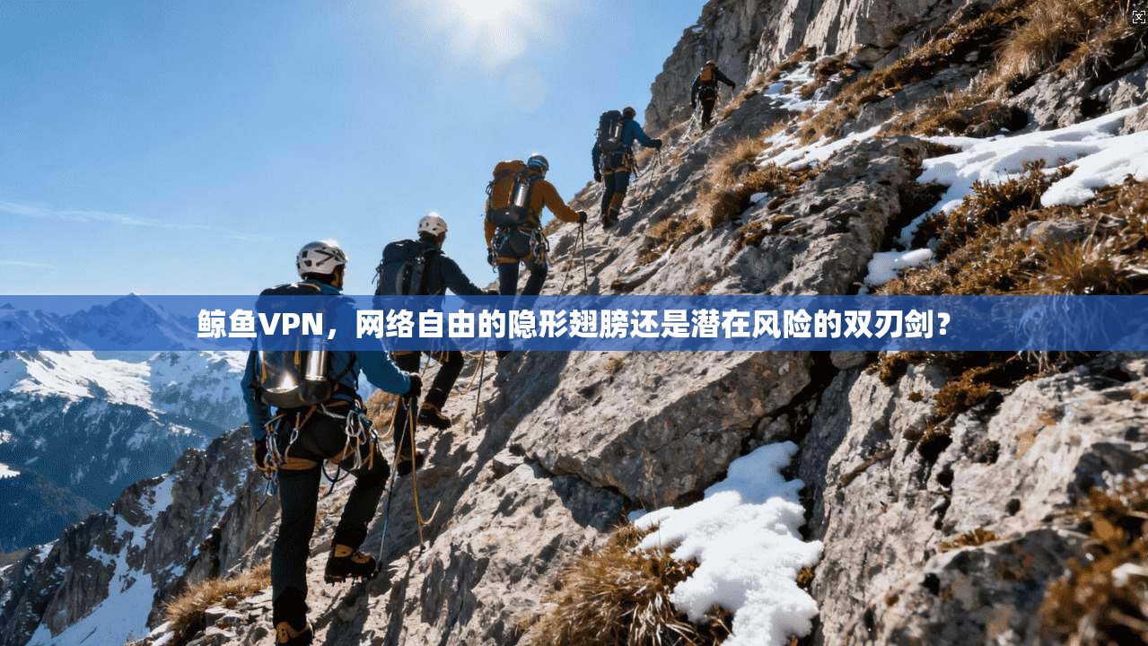 鲸鱼VPN，网络自由的隐形翅膀还是潜在风险的双刃剑？  第1张