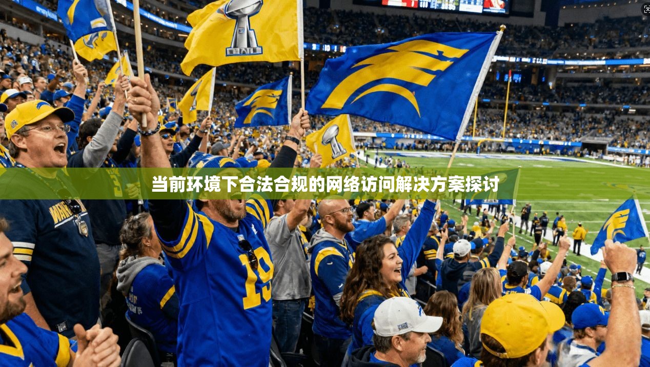 当前环境下合法合规的网络访问解决方案探讨 第1张 当前环境下合法合规的网络访问解决方案探讨 第1张