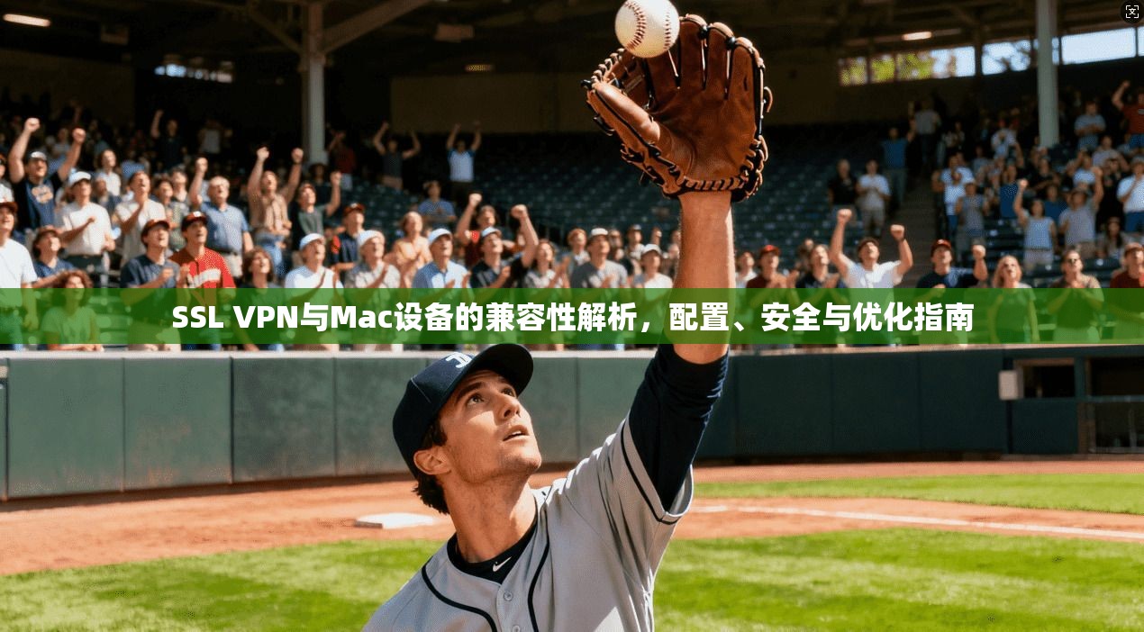 SSL VPN与Mac设备的兼容性解析，配置、安全与优化指南  第1张