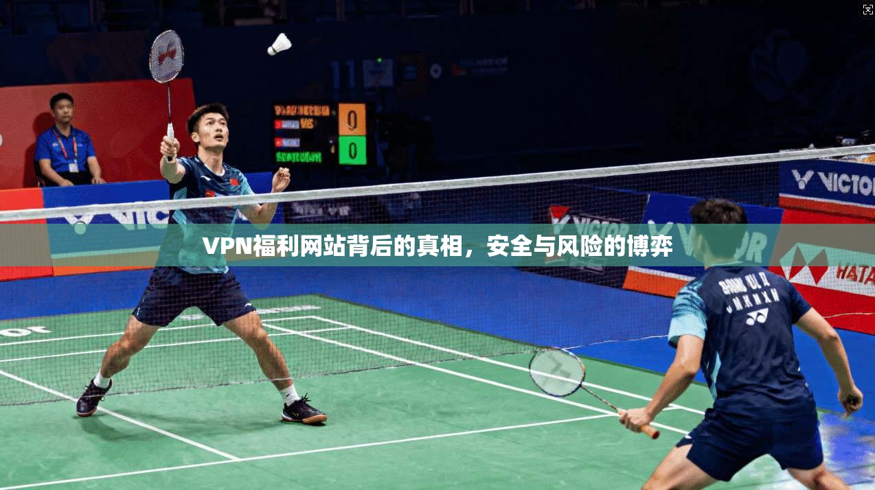 VPN福利网站背后的真相,安全与风险的博弈 第1张 VPN福利网站背后的真相,安全与风险的博弈 第1张