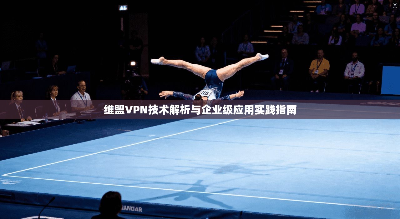 维盟VPN技术解析与企业级应用实践指南 第1张 维盟VPN技术解析与企业级应用实践指南 第1张