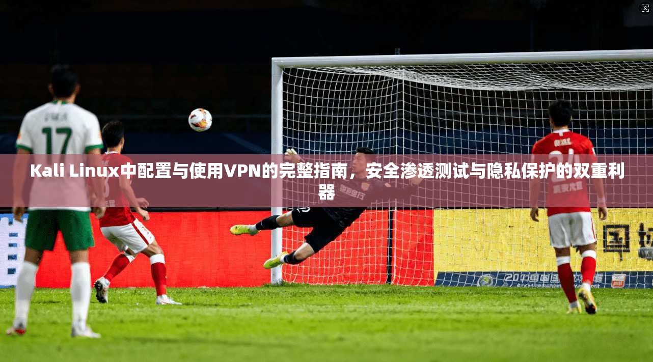 Kali Linux中配置与使用VPN的完整指南，安全渗透测试与隐私保护的双重利器  第1张