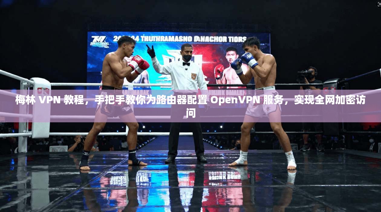 梅林 VPN 教程,手把手教你为路由器配置 OpenVPN 服务,实现全网加密访问 第1张 梅林 VPN 教程,手把手教你为路由器配置 OpenVPN 服务,实现全网加密访问 第1张