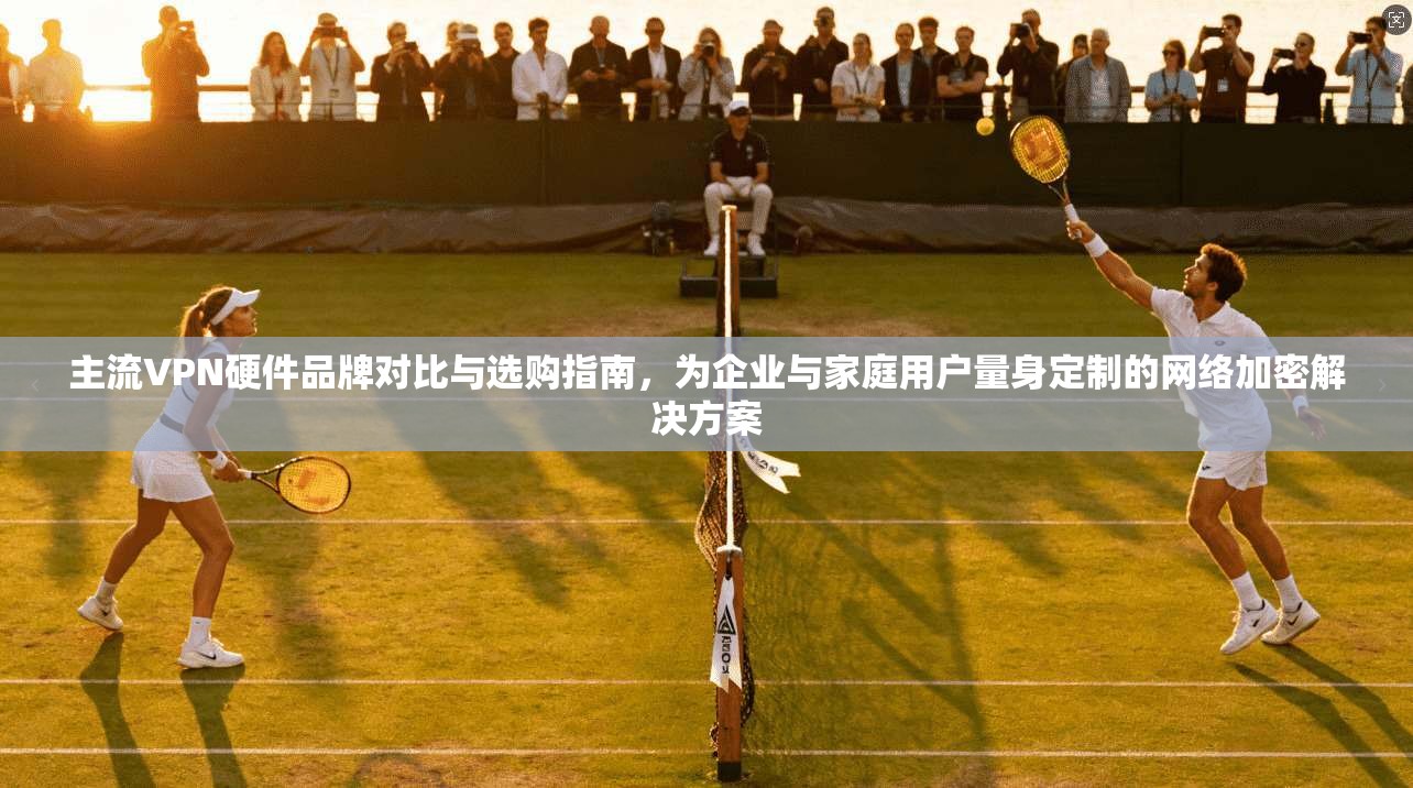 主流VPN硬件品牌对比与选购指南，为企业与家庭用户量身定制的网络加密解决方案  第1张