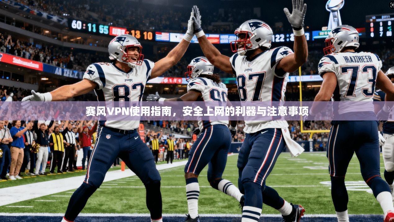 赛风VPN使用指南,安全上网的利器与注意事项 第1张 赛风VPN使用指南,安全上网的利器与注意事项 第1张