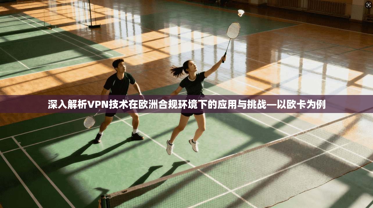 深入解析VPN技术在欧洲合规环境下的应用与挑战—以欧卡为例  第1张