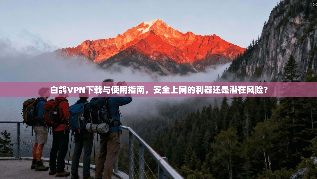 白鸽VPN下载与使用指南，安全上网的利器还是潜在风险？  第1张