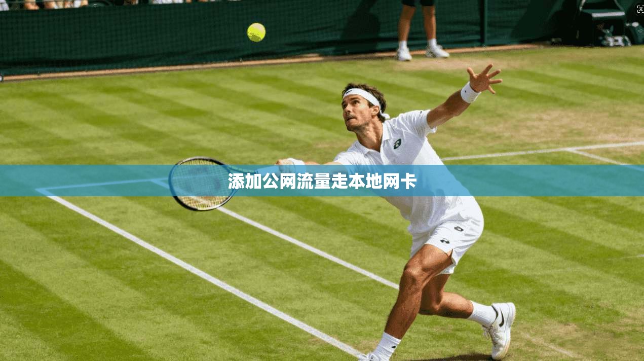 添加公网流量走本地网卡  第1张