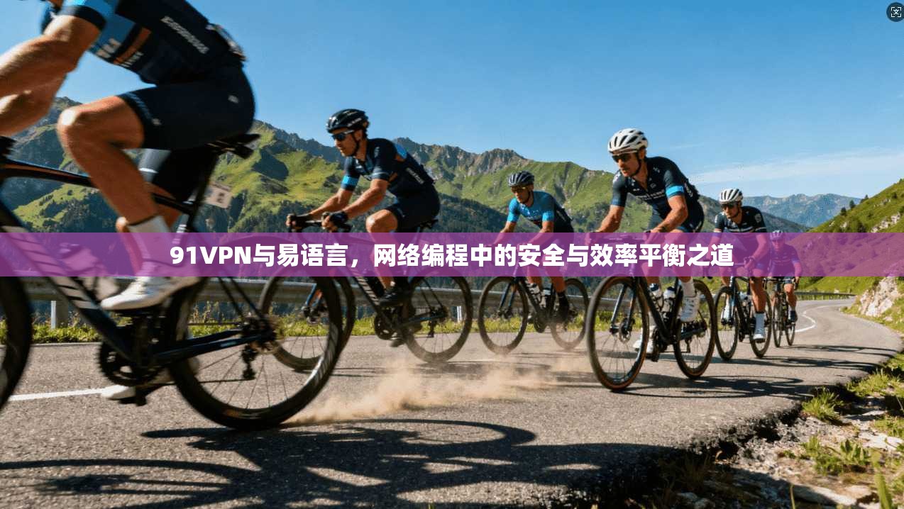 91VPN与易语言,网络编程中的安全与效率平衡之道 第1张 91VPN与易语言,网络编程中的安全与效率平衡之道 第1张