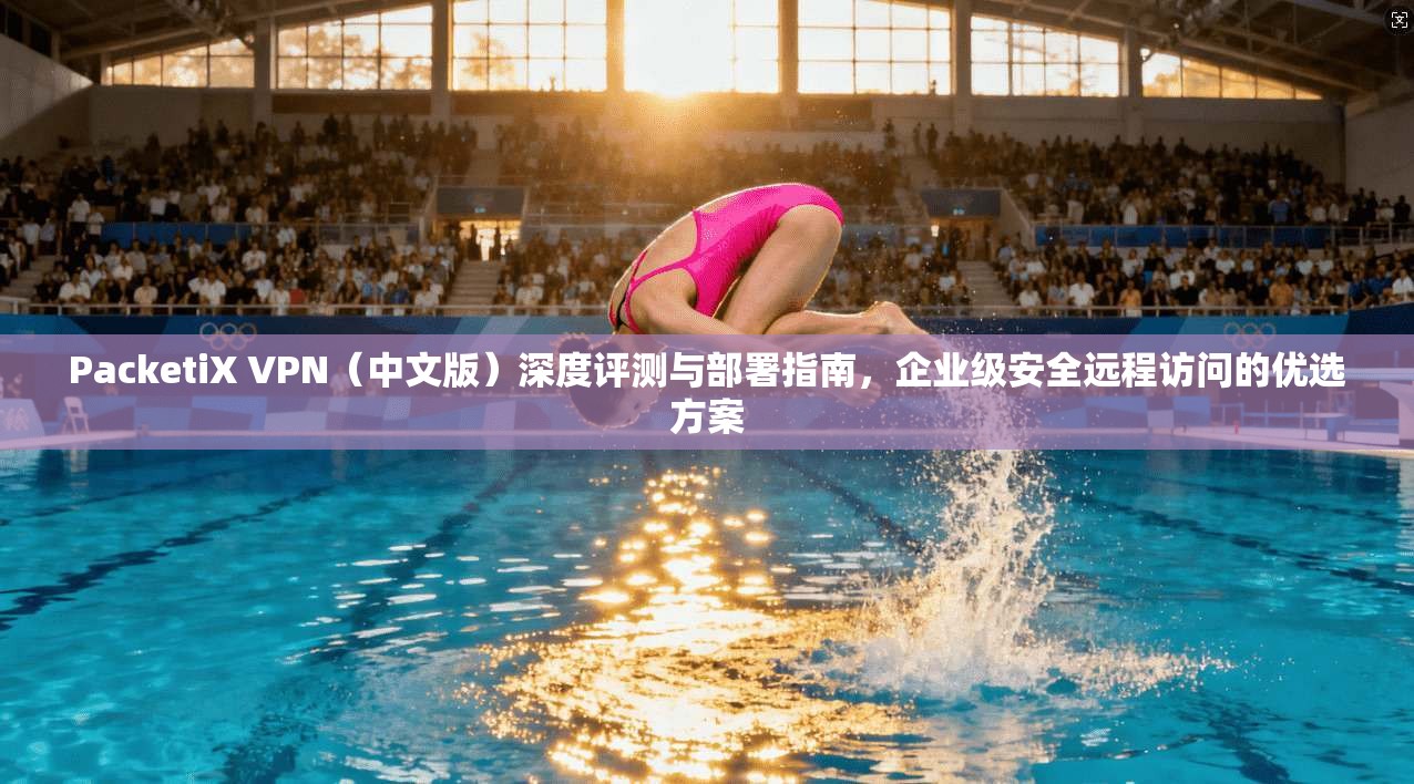 PacketiX VPN（中文版）深度评测与部署指南，企业级安全远程访问的优选方案  第1张