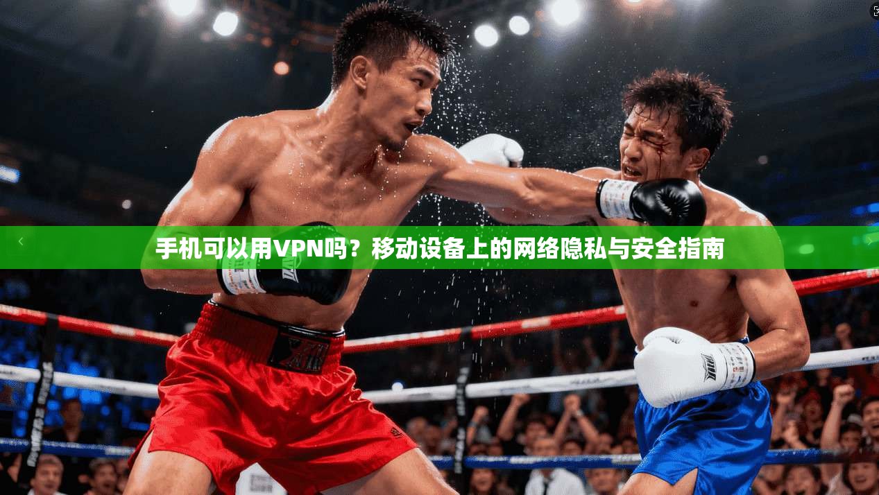 手机可以用VPN吗？移动设备上的网络隐私与安全指南  第1张