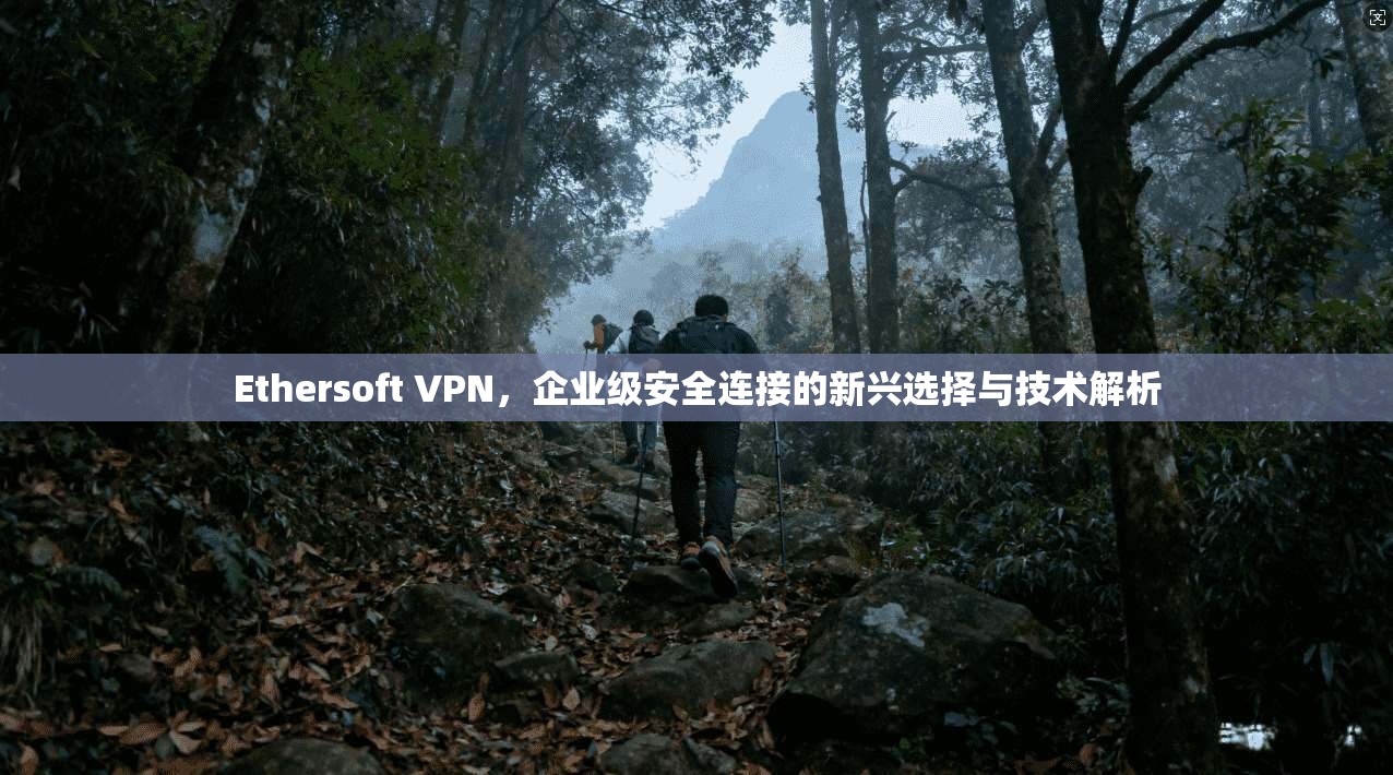 Ethersoft VPN,企业级安全连接的新兴选择与技术解析 第1张 Ethersoft VPN,企业级安全连接的新兴选择与技术解析 第1张